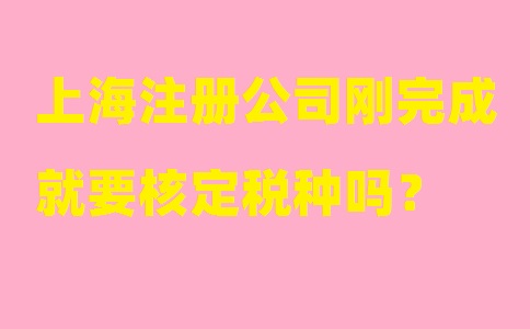 上海注冊公司剛完成就要核定稅種嗎？